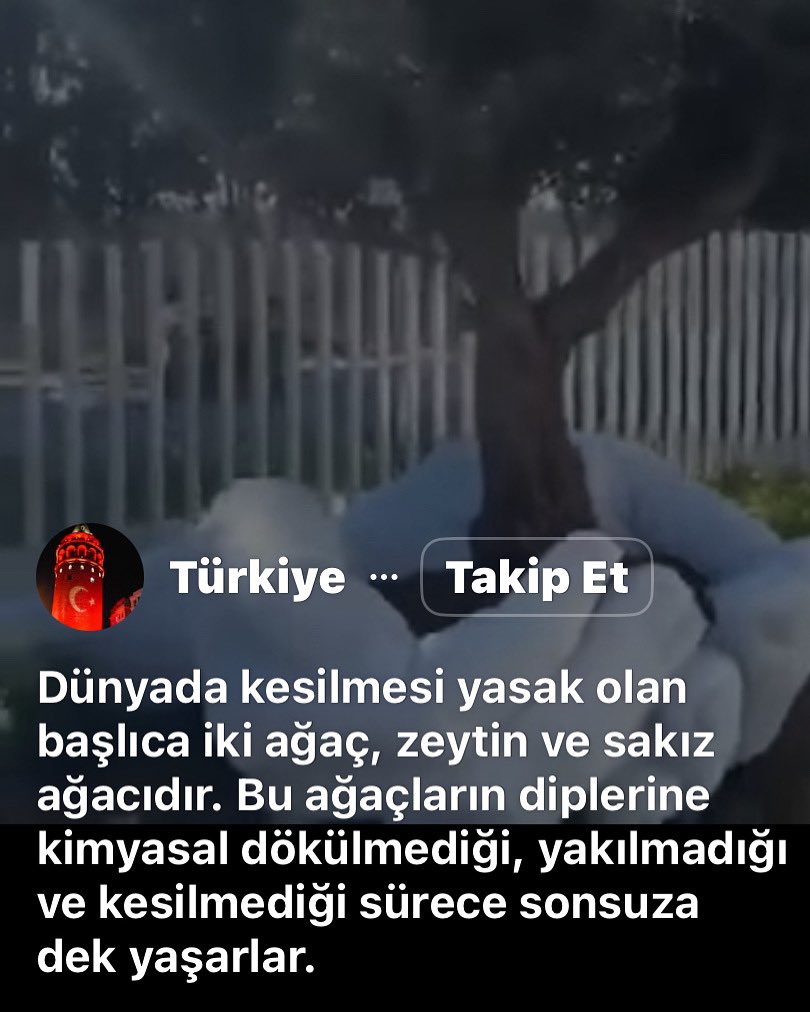 Dr Mehmet Ceyhan (@mehmetceyhan23) on Twitter photo 