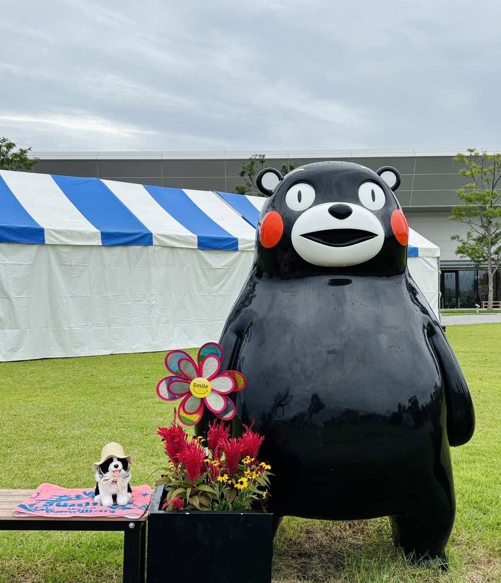 いろはとくまモン❗️