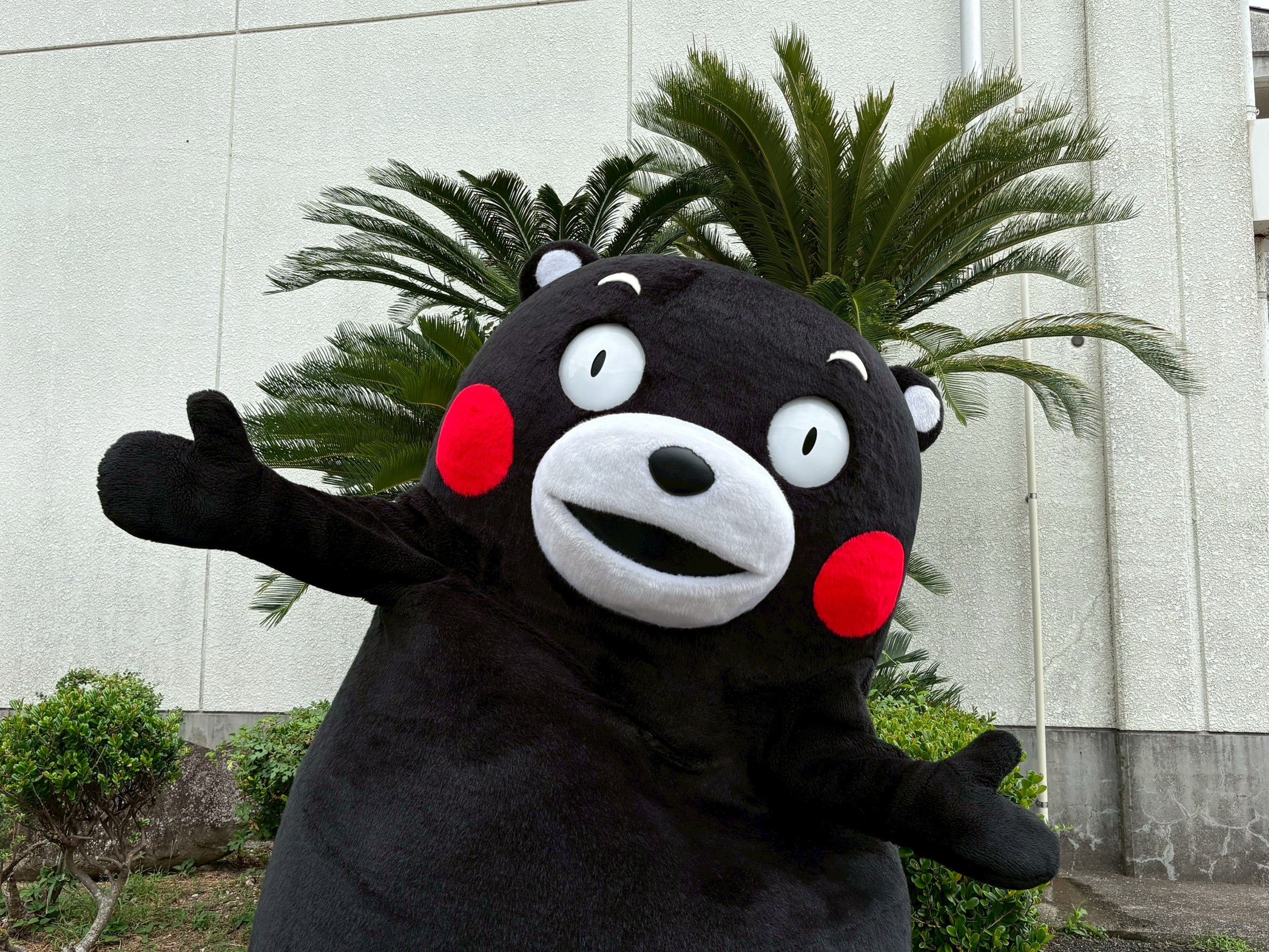 くまモン【公式】 (@55_kumamon) / X