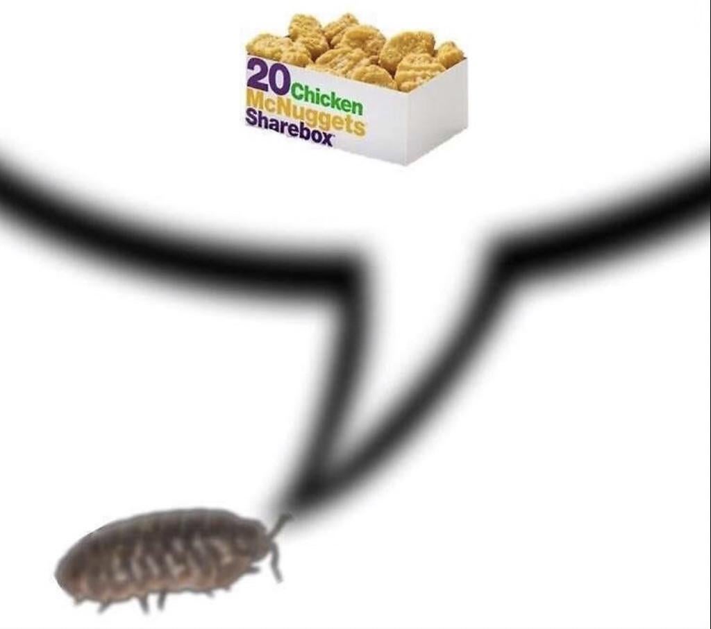 I haven't eaten solid anything in 3 days, only juice and sometimes chocolate milk. Hospital staff try to make me eat, but I don't like any food and I feel so sick. I want to go back to a week ago