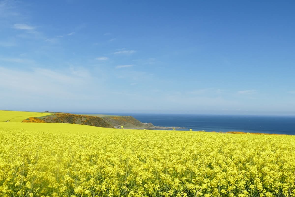 LindaWatts603's tweet image. North coast of Scotland #view