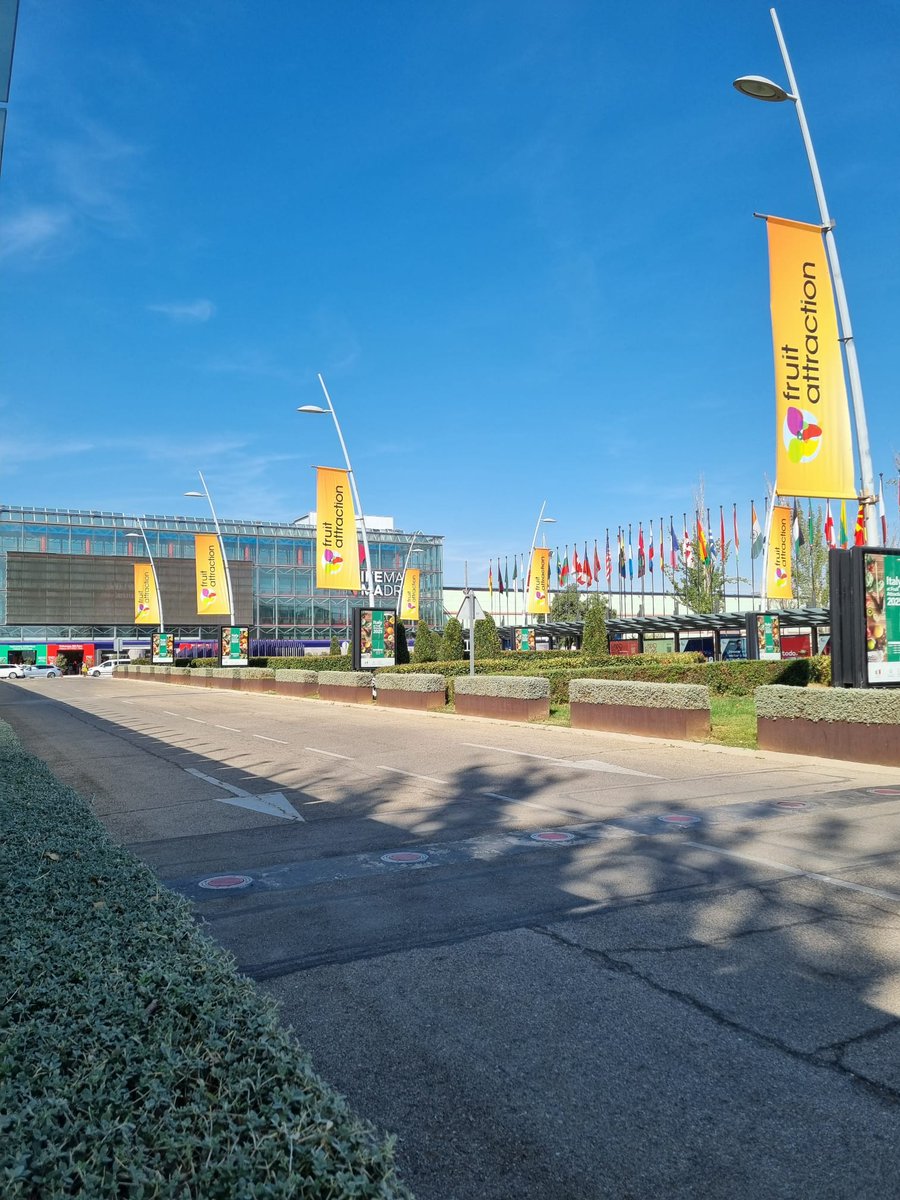 Grupo Polímeros tweet media