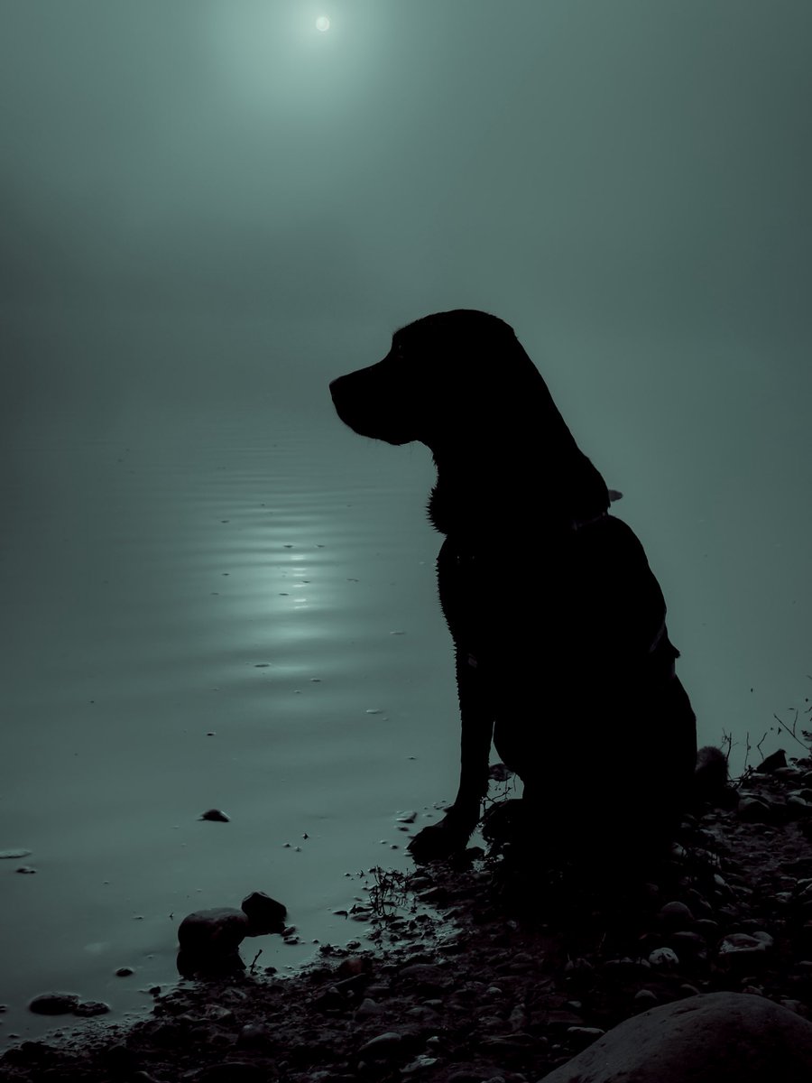 „And so my watch begins“

Heute war es seeeeeehr neblig an der Elbe 👻