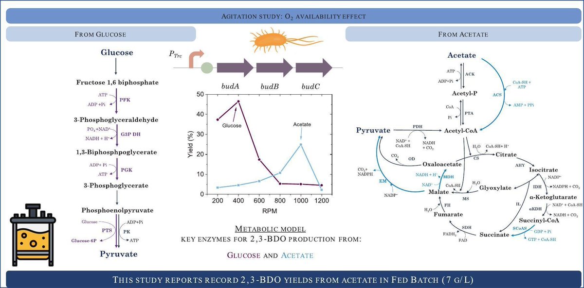 Environmental Biotechnology tweet media