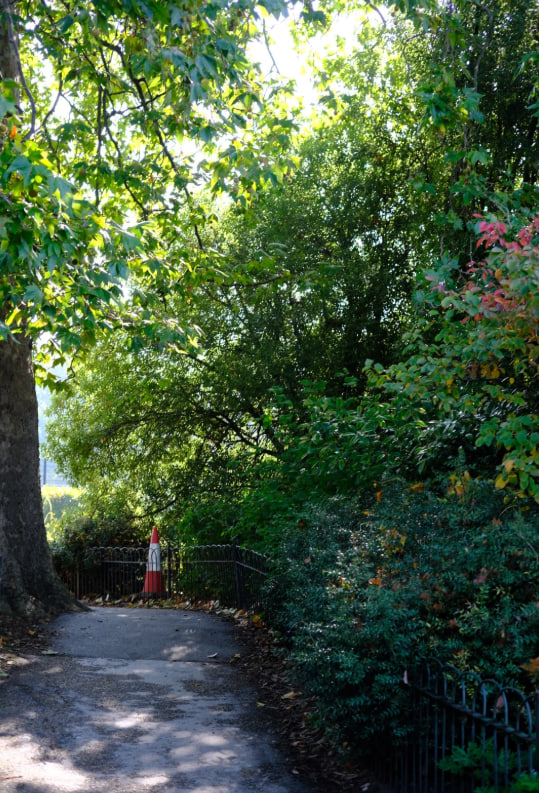 A walk through London parks heals more than tired feet it soothes restless thoughts too 🤍