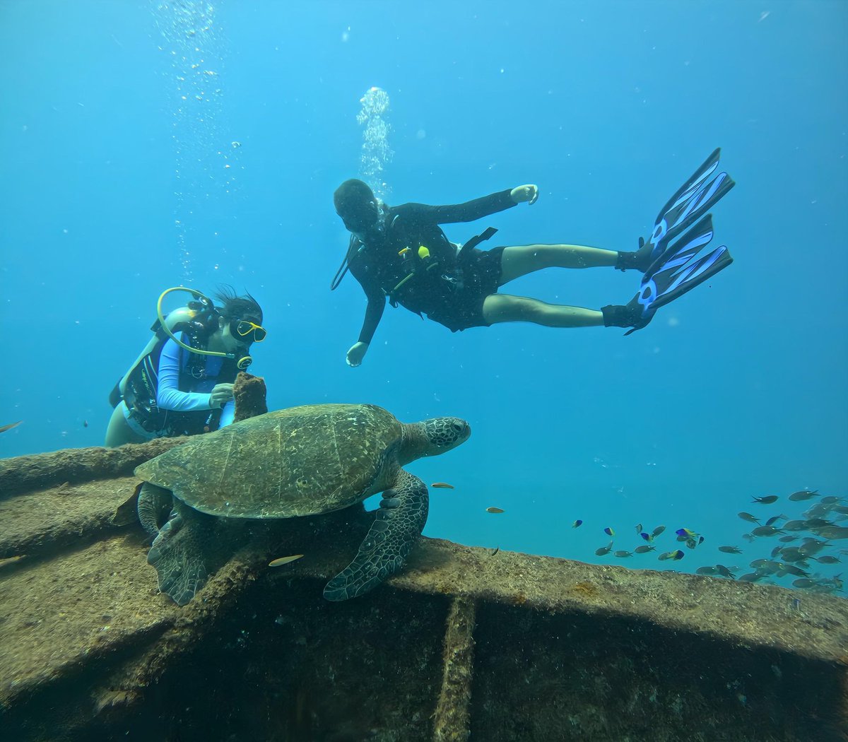Lo mismo da explorar el fondo del mar que las montañas más altas, si es con la persona adecuada!

Que buena etapa de la vida estoy teniendo :)