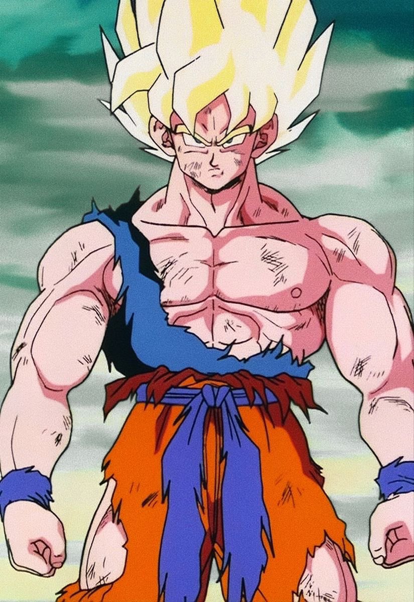 Daily Son Goku (@daily_goku) on Twitter photo 