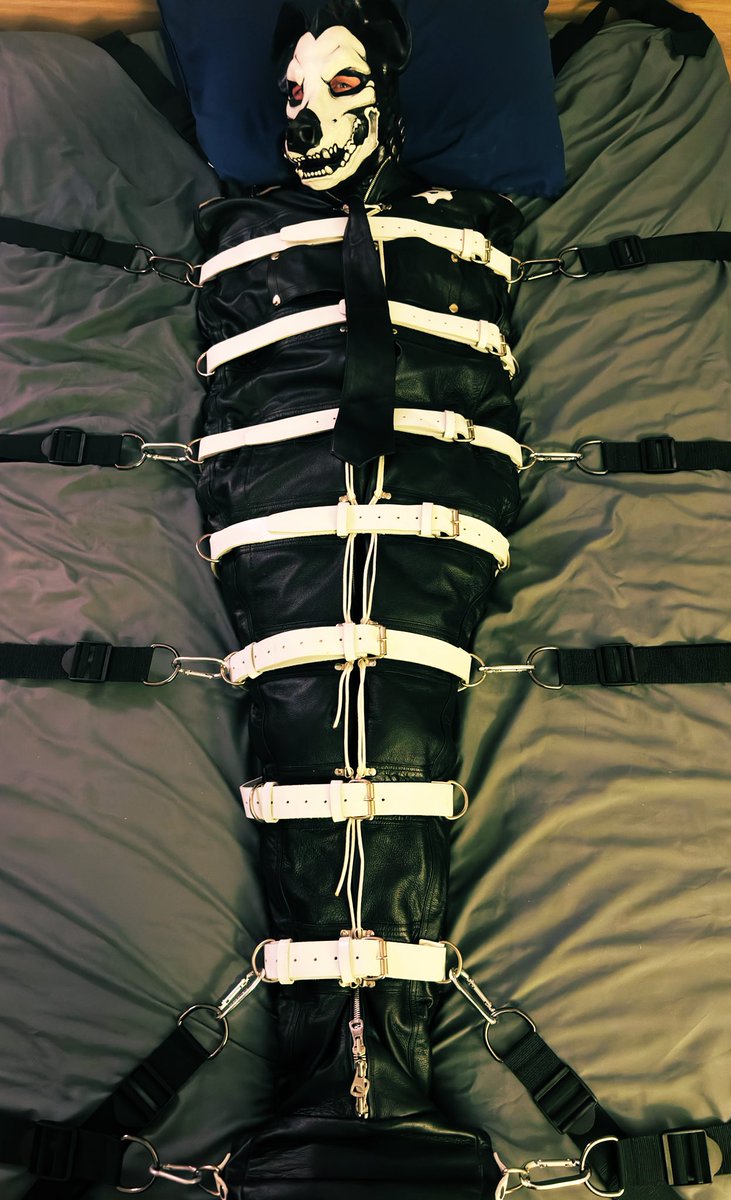 <a href="/Northstar_DRGN/">Northstar</a> and <a href="/Cobalt_Derg/">Cobalt 🏳️‍🌈</a> made me into a worm !!! Help !