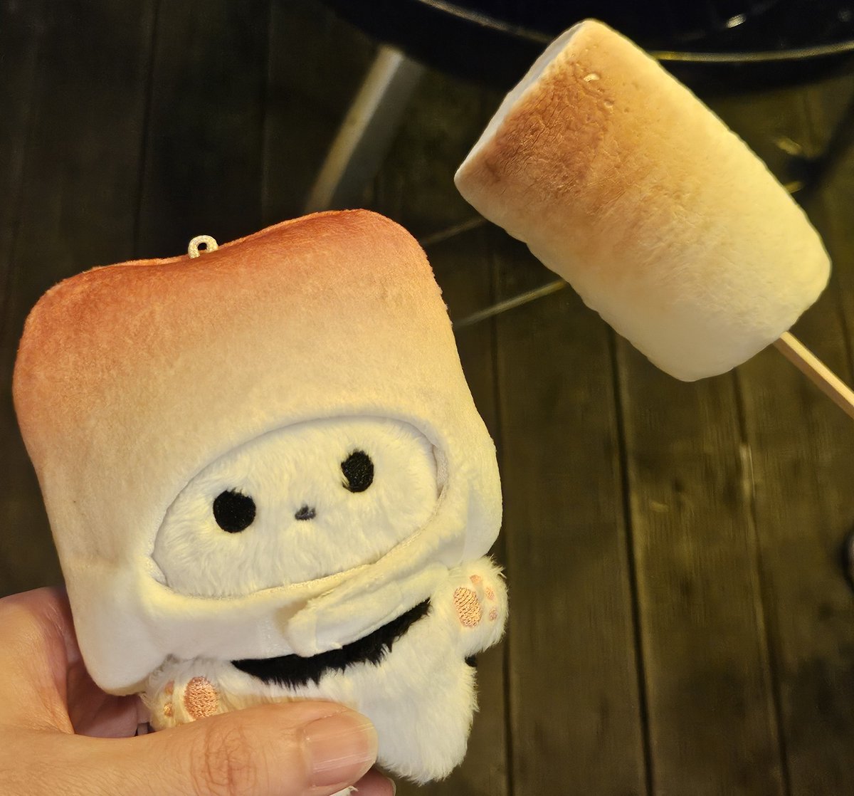 이번엔 초당마시멜로♨️