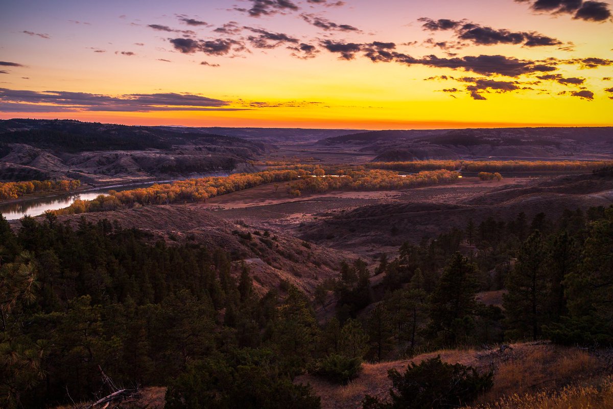 MontanaImgs's tweet image. Fall along the Missouri River, Montana