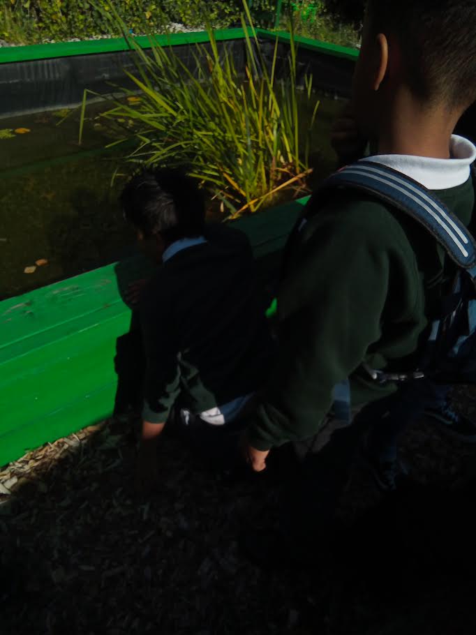 Autumn Adventure! 🍂 The children from SLS took their learning outside today to fully engage their senses. We listened to the satisfying crunch of leaves, admired the vibrant autumn colors, and explored the many different textures of nature.