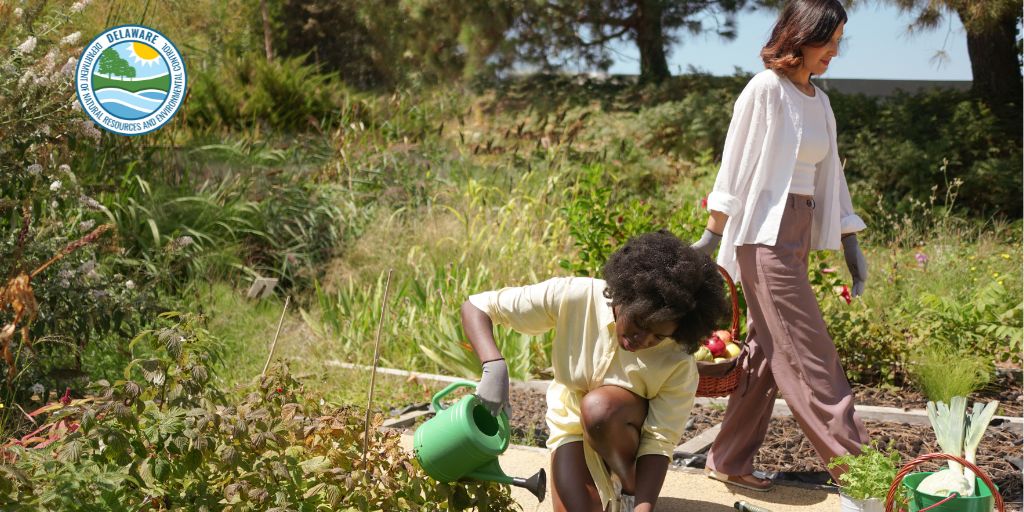 Sustainable communities are vibrant, healthy and prepared to meet the challenges of a changing world. The Division of Climate, Coastal and Energy offers grant programs, expertise and resources to help local governments, community groups and partners develop sustainable programs.