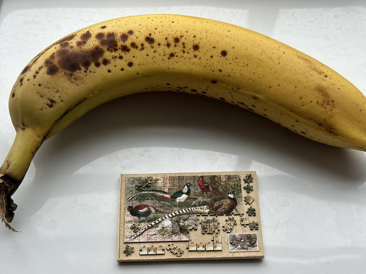 Today I made a jigsaw. Nothing special about that you say. Banana for scale.