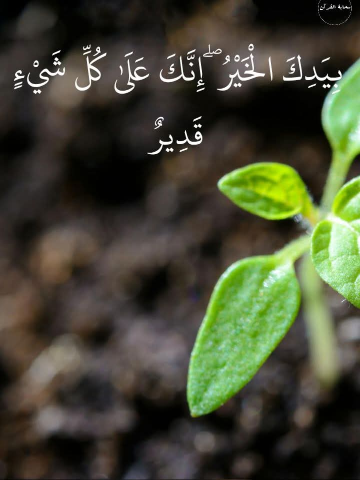 عن النبي ﷺ أنه قال: في يوم الجمعة ساعة لا يسأل الله أحد فيها شيئا وهو قائم يصلي إلا أعطاه الله إياه
#لاتغفل_عن #ذكرالله #أقوالك_المفضلة 
#اللهم_صل_وسلم_على_نبينا_םבםבﷺ 
لا اله الا الله وحده لاشريك له له الملك وله الحمد وهو على كل شيء قدير