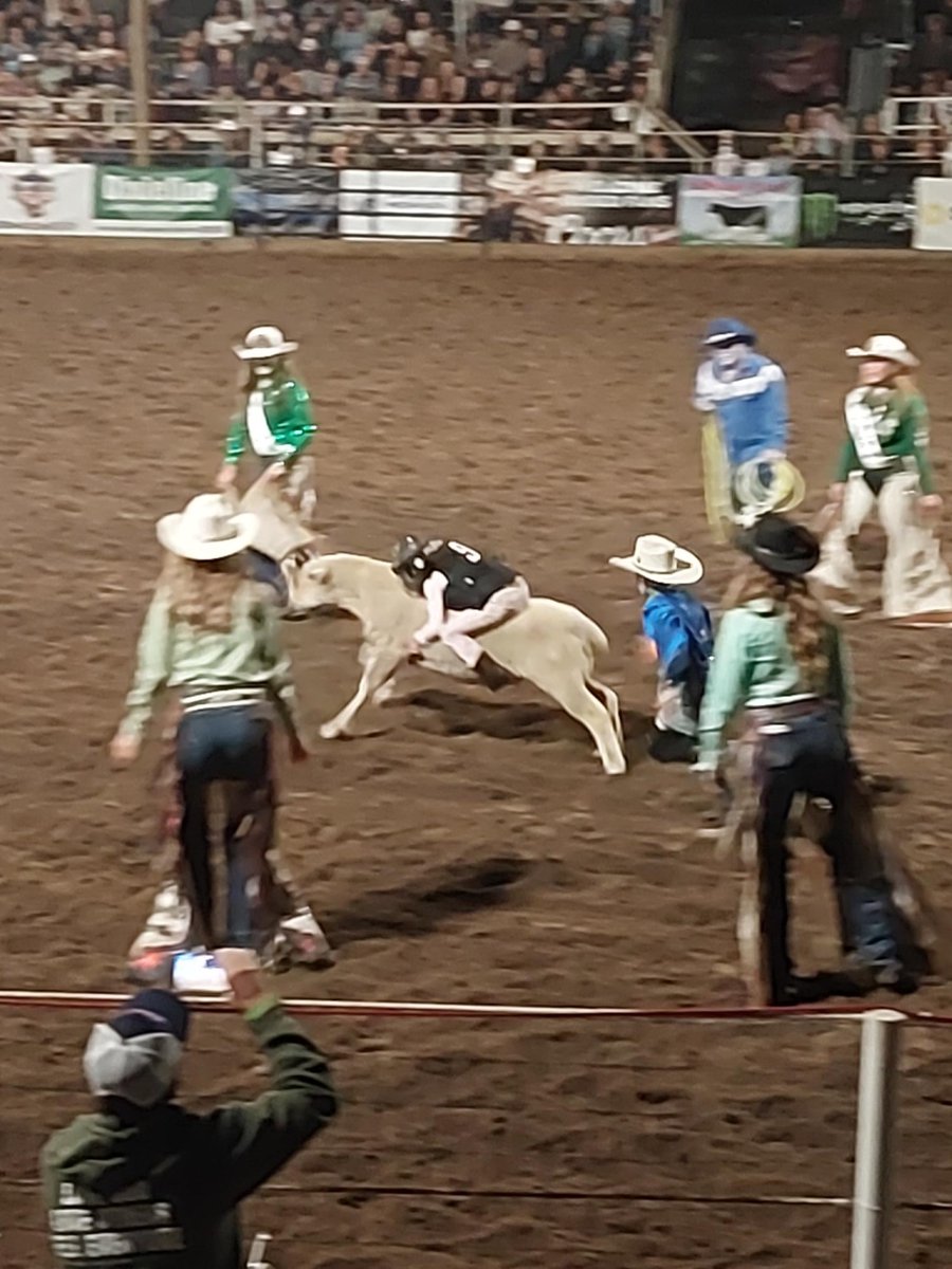 🐎 Stotz Equipment wrapped up the final weekend of the Pro Rodeo season by cheering on today’s champions and tomorrow’s rising stars. This year, we were proud to support the Western lifestyle at 100+ rodeos and equine events across the states we serve.

✨ Headed to Las Vegas for