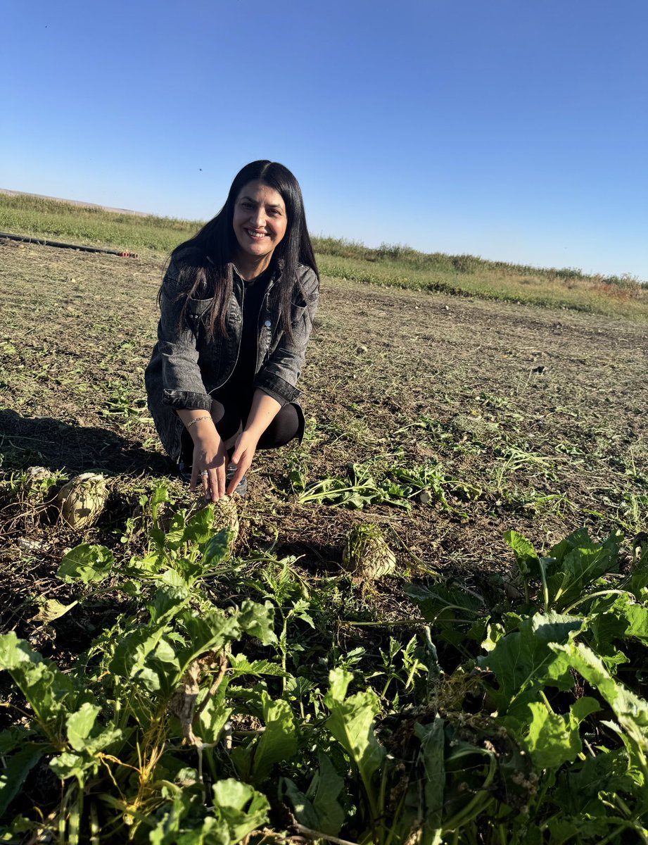 Her zorluğun yanında bir güzellik vardır. Bizde bugün en güzel dönemimiz olan Şeker Pancarı hasatımızı gerçekleştiriyoruz.

Ürettikçe büyüyecek, büyüdükçe güçlenmeye devam edeceğiz. Tüm Çifçilerimize bereketli bir yıl diliyorum.
<a href="/RTErdogan/">Recep Tayyip Erdoğan</a> <a href="/EmineErdogan/">Emine Erdoğan</a> <a href="/ibrahimyumakli/">İbrahim Yumaklı</a> <a href="/TCTarim/">T.C. Tarım ve Orman Bakanlığı</a>