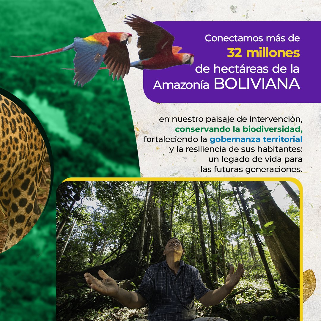 AceaaAmazonica's tweet photo. 14 years protecting biodiversity, sharing knowledge, and promoting sustainable use of the #Amazon.
We thank communities, partners, and researchers who believe in #conservation as a driver of development and hope.
We move forward with the Amazon in our hearts 🌳
#LivingAmazon https://t.co/pzqP2iqRpu