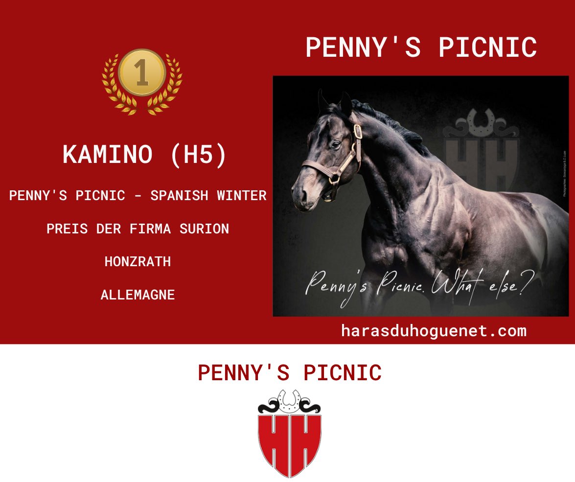 #PennysPicnic 
<a href="/harasduhoguenet/">Haras du Hoguenet</a>