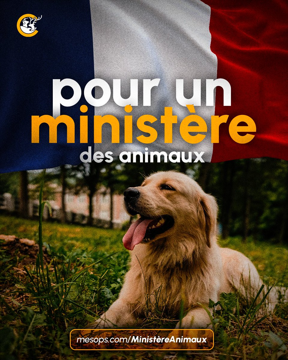 Un ministère pour défendre les animaux ✊

Demandons une vraie instance politique pour faire respecter leurs droits et protéger leur bien-être.

Signez-ici
➡️ mesops.com/Ministere✍️