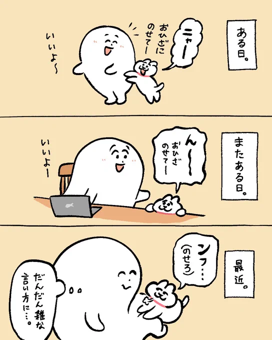 ニャーと言うのがめんどくさくなってきたねこ 