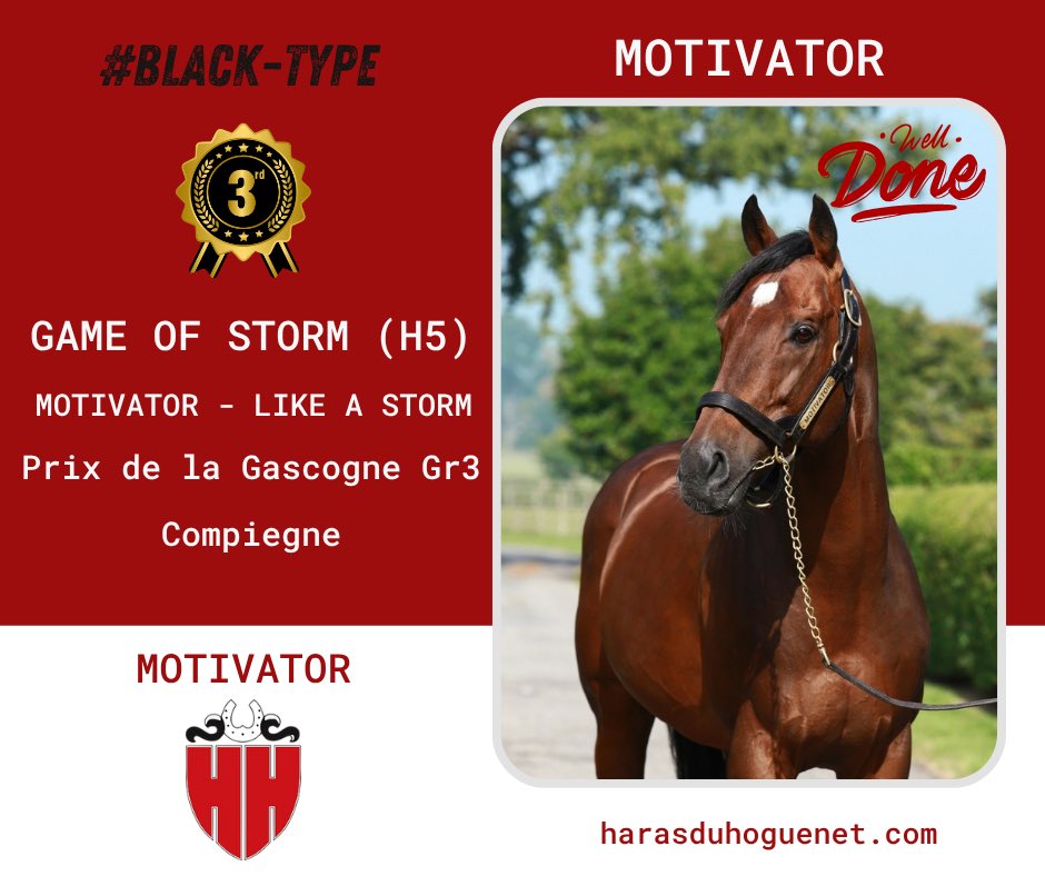 #BlackType
#MOTIVATOR 🐎