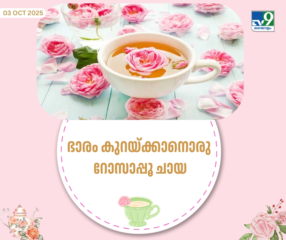 tv9malayalam's tweet image. ദഹനപ്രക്രിയ എളുപ്പമാക്കാനും റോസ് ടീ വളരെ നല്ലതാണ്.

#dietplan #rosetea #healthyrecipes

malayalamtv9.com/lifestyle/food…