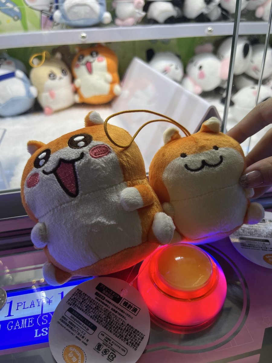 ラウンドワンアミューズメント［公式］ (@ROUND1_AMPRIZE) / X