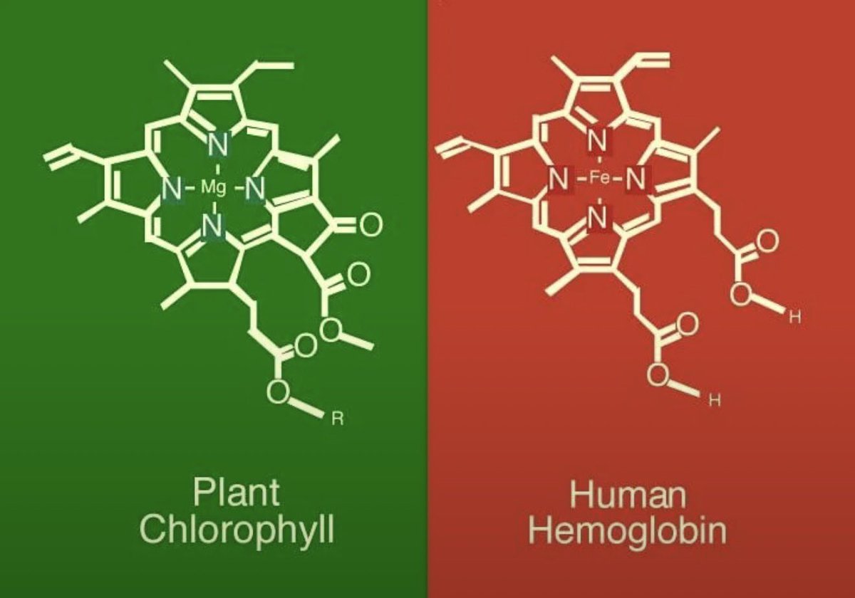عبدالله السويدي tweet media