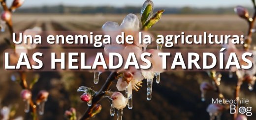 meteochile_dmc's tweet photo. ❄️🌱🥀 ¿Sabías que las heladas tardías ocurren después del invierno y pueden dañar cultivos en plena floración? Descubre cómo impactan en la agricultura en la nueva cápsula del #MeteoChileBlog 👉 https://t.co/fQs0sNSDsA https://t.co/CpnSaYkDOA
