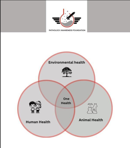 PathologyAware tweet picture