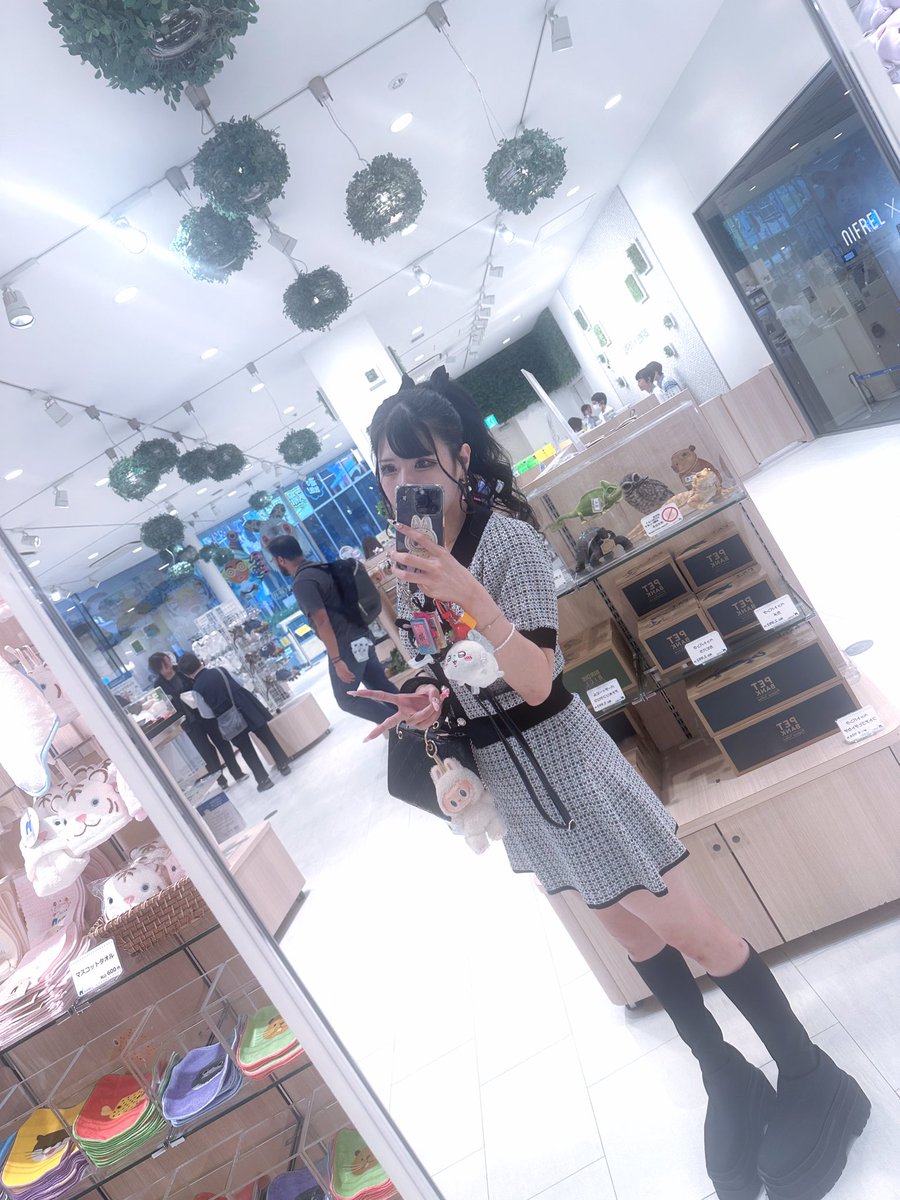 ぽんちゃん tweet media