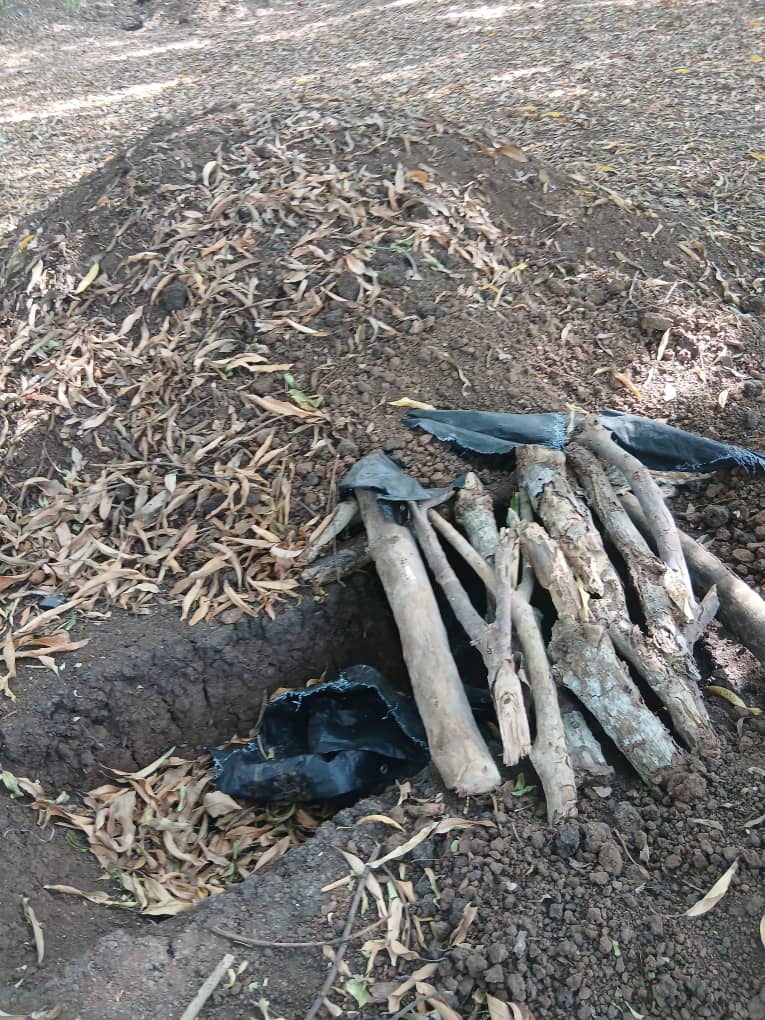 RadioSna's tweet photo. @SNAForce 🇸🇴 with support of @ATMIS_Somalia/ UPDF liberate #Shaamgare & #Raqayle villages in Lower Shabelle.
Khawarij were defeated, hideouts destroyed & bases dismantled in phase 3 of “Silent Storm” operations. #Somalia #ATMIS #SNAF https://t.co/F5VHNetL2r
