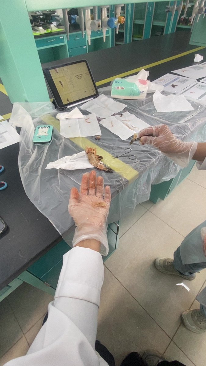 حنين 🧬 tweet media