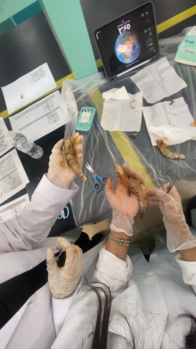 حنين 🧬 tweet media