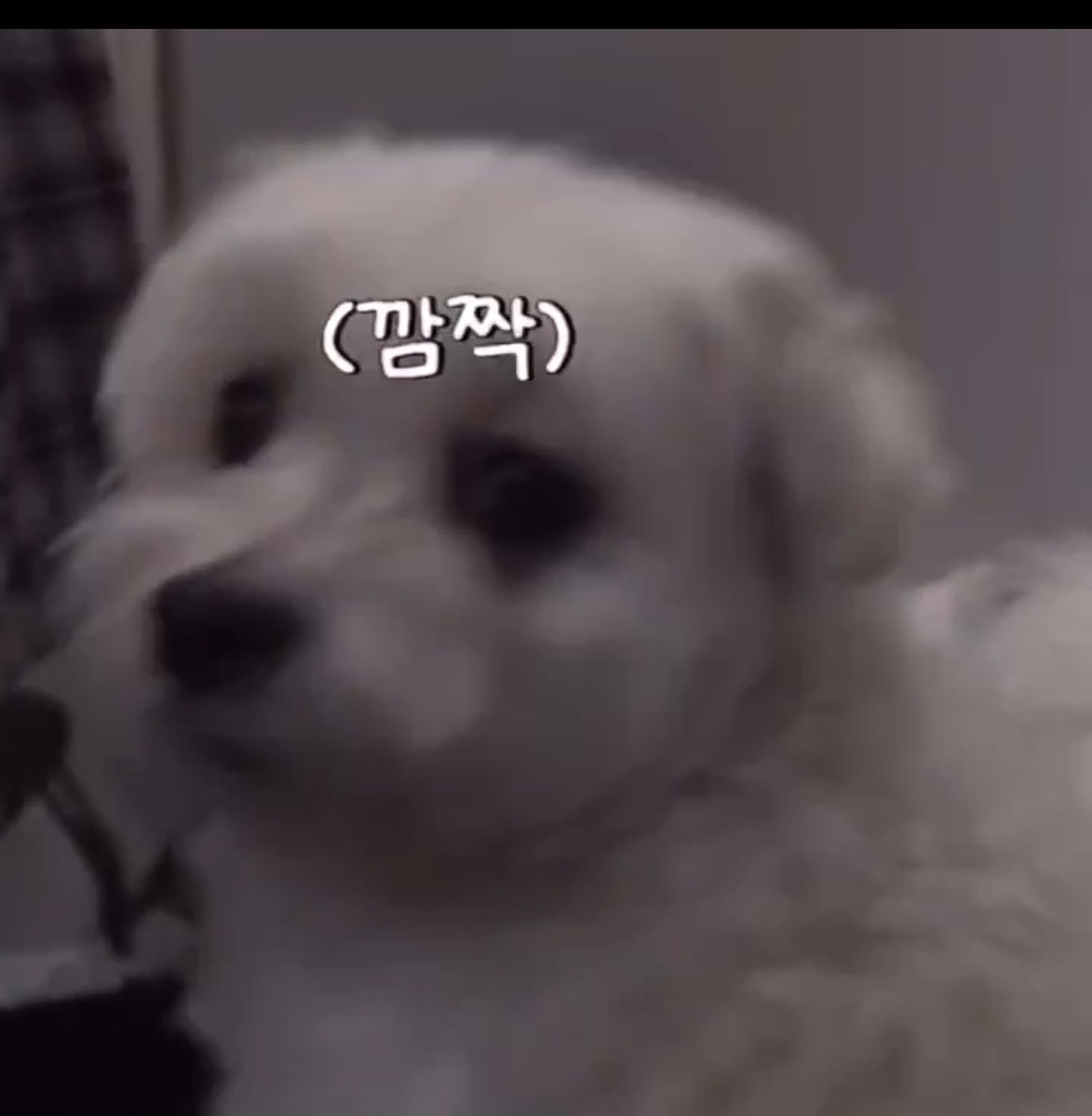 누가 채소야