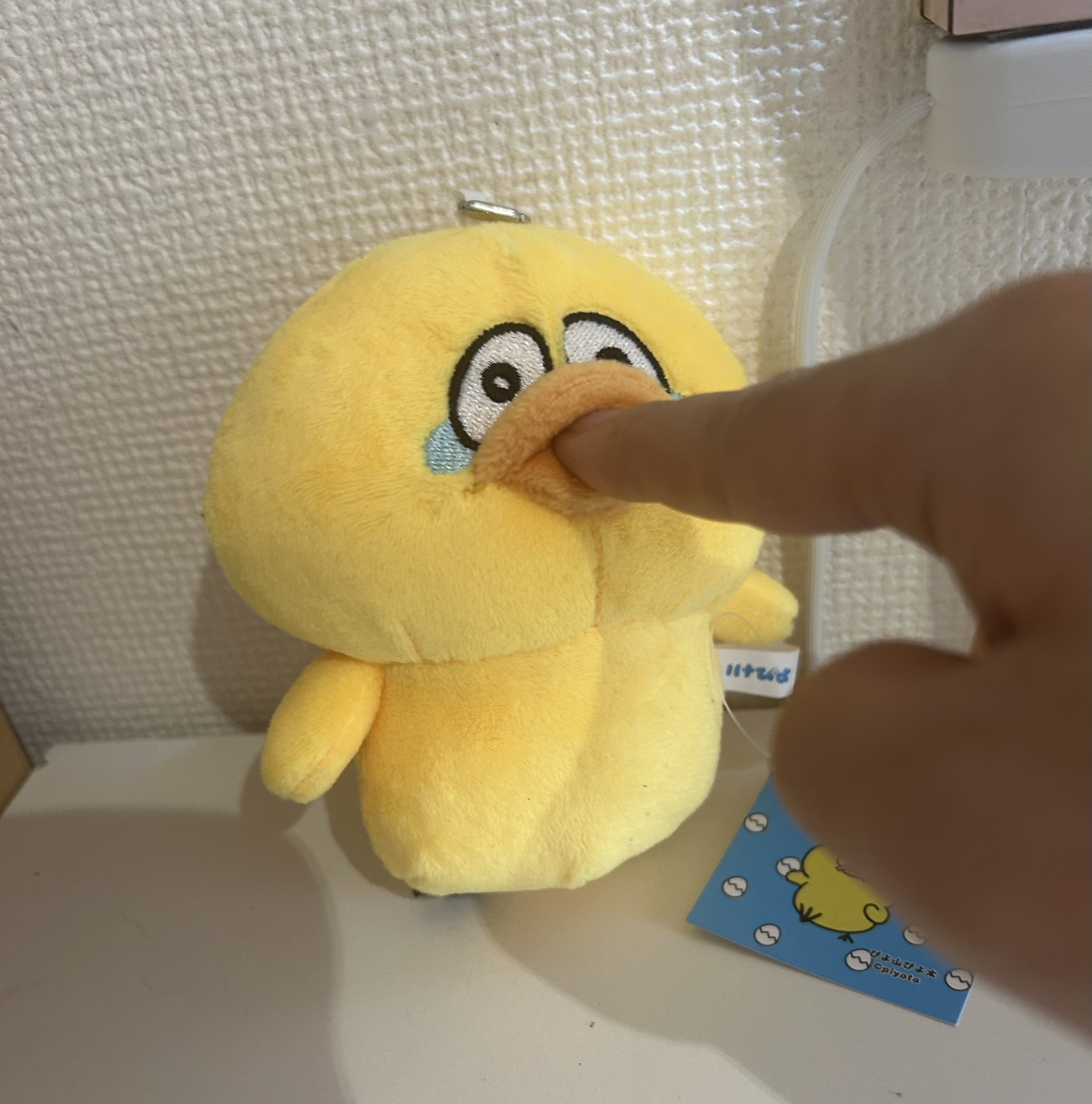 ★ぴよ太さま★ ぴよ山ぴよ太 (@piyo_hiyokoman) / X