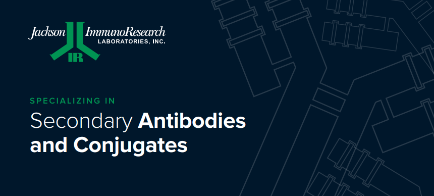 Labclinics S.A. tweet media