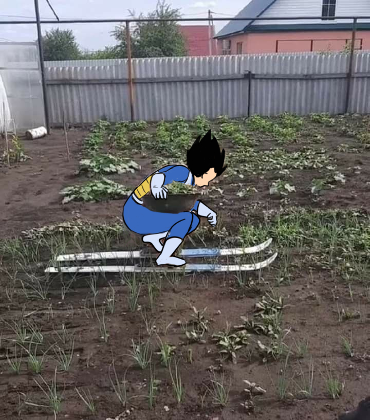 AuroraDBZ's tweet photo. Veggie battle feels like #Gekishinsquadra https://t.co/3ZphiN7aNC