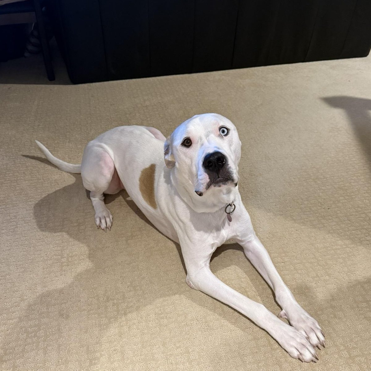 98 COOL fm tweet media