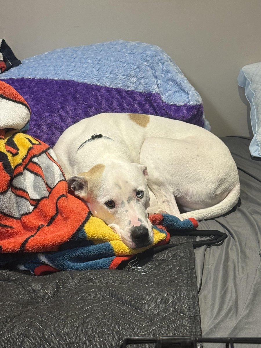 98 COOL fm tweet media