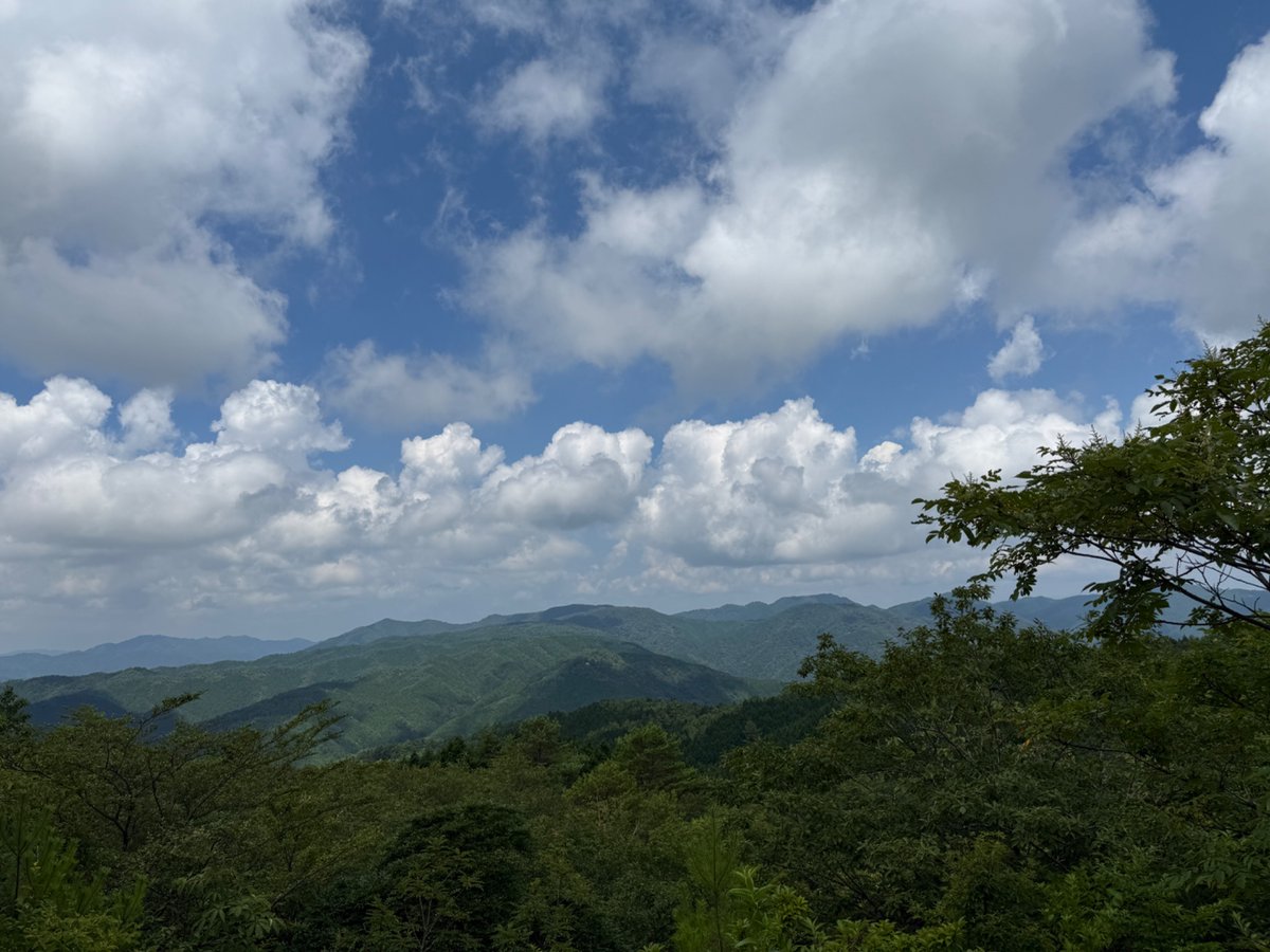 inakagurashiweb's tweet image. 今日は #登山の日 ですね⛰️

というわけで田舎の山の風景を✨

森林浴をするとリフレッシュできますよね〜！

#田舎暮らしの本