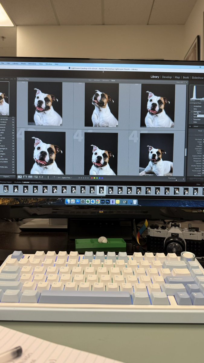brought my dog to work yesterday and took some corporate headshots
