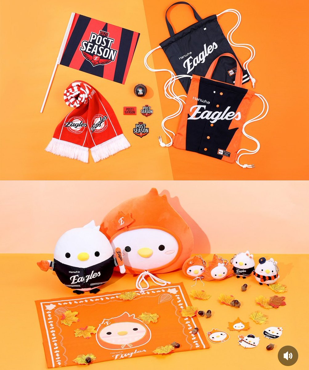 이글스는 이글스고 수리는 수리야

존나 기엽다 굿즈 히히