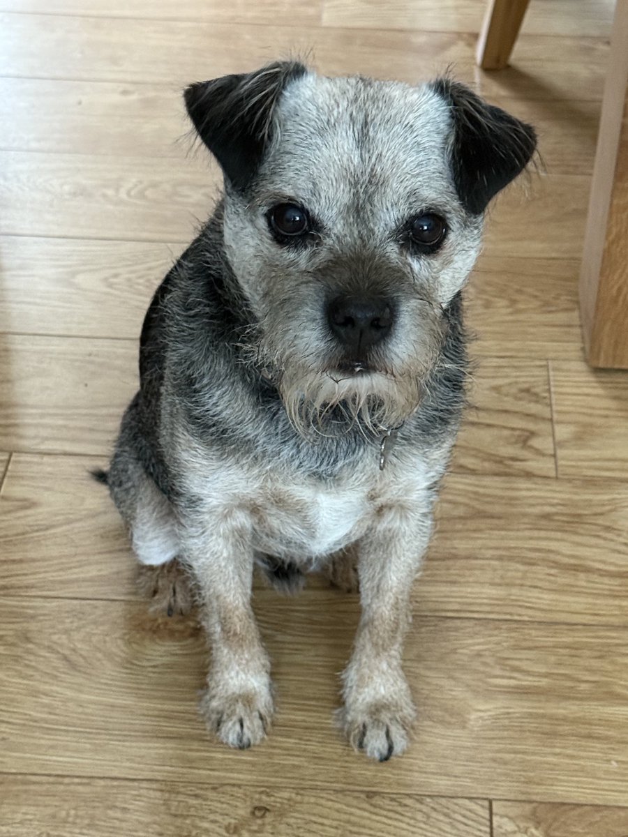 Oscar OBE tweet media