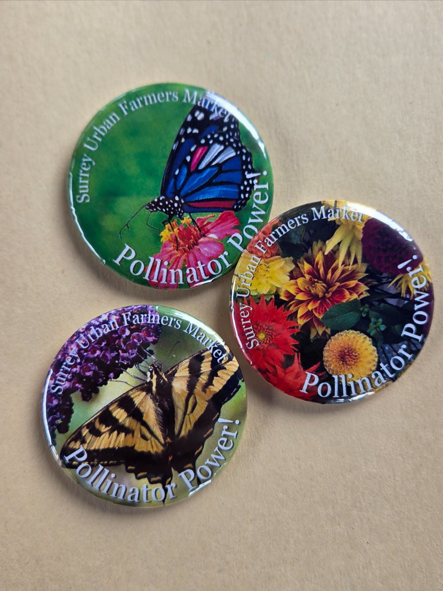 surreymarket's tweet photo. Final Market – Oct 4! Donate seeds → enter to win gardening supplies Learn seed-saving with @farmfolkcityfolk No seeds? No problem—come for the demo! #SurreyBC #SeedSaving #SurreyMarket #FarmFolkCityFolk - https://t.co/yQvwTrmr0B https://t.co/rYdsUW8RtG