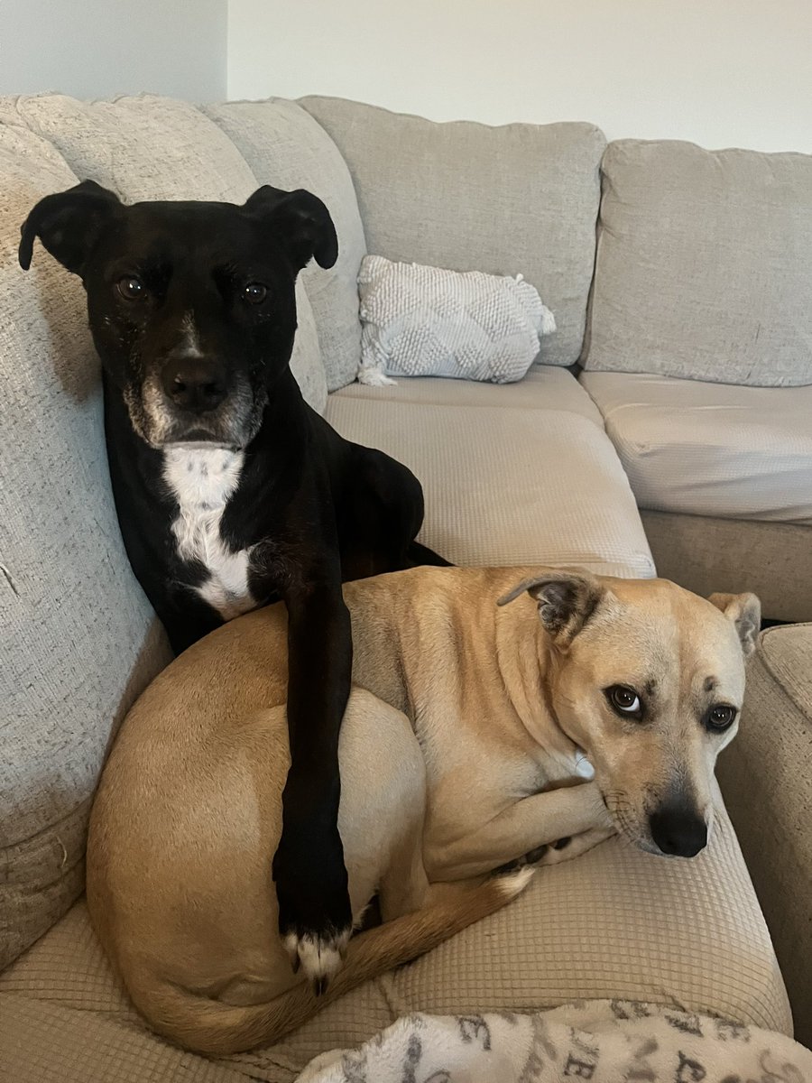 Scott Carpenter tweet media