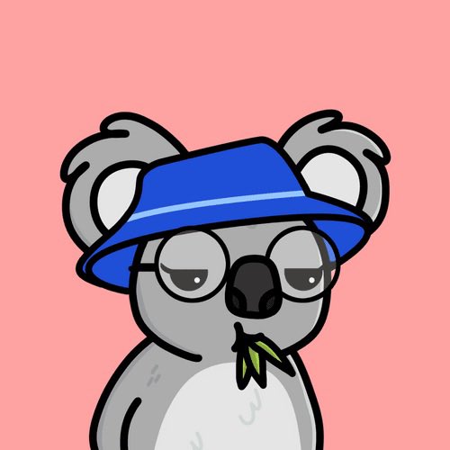 KoalaDayInc's tweet image. Left or right? 🐨💕