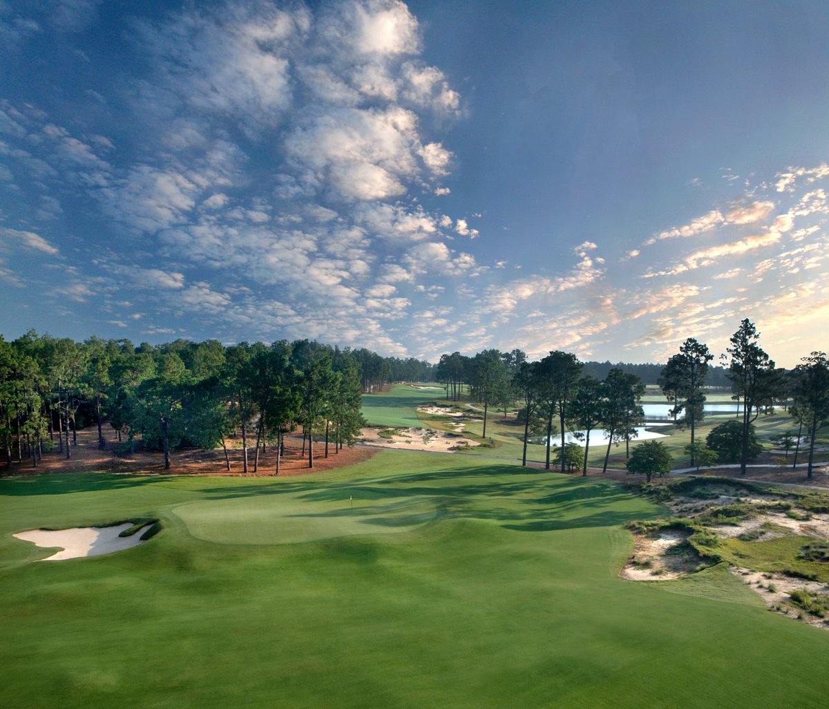 Pinehurst Resort tweet media