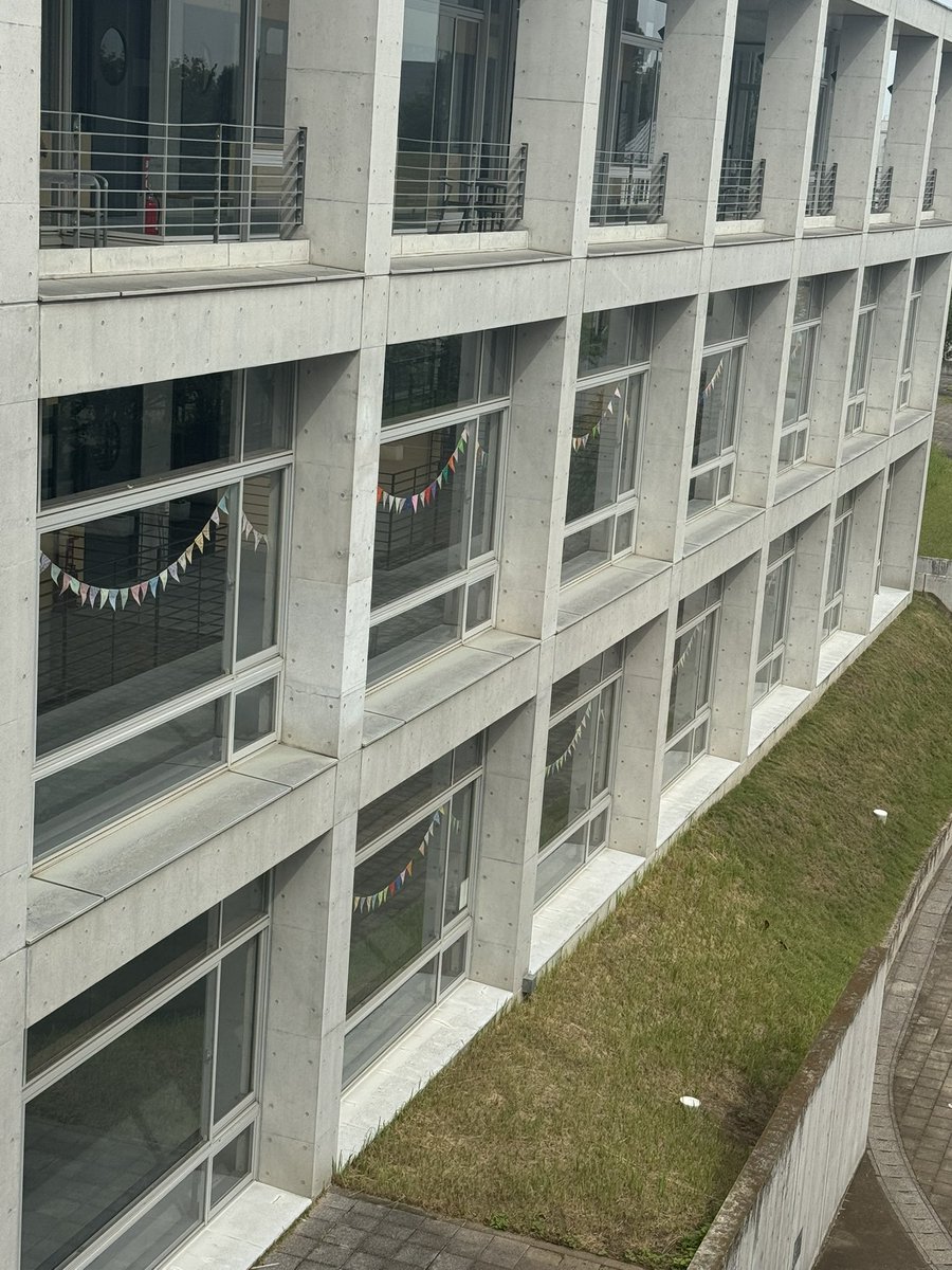 s_shukutokusai's tweet image. 4号館が華やかに🤩

正門のすぐ近くの建物です🏢

#淑徳大学 #埼玉キャンパス #千紫万紅