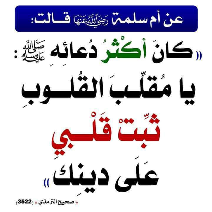 hadith_alnubui's tweet photo. https://t.co/C6pJgqS7vi